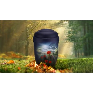 Biodegradable Cremation Ashes Funeral Urn / Casket - POPPY